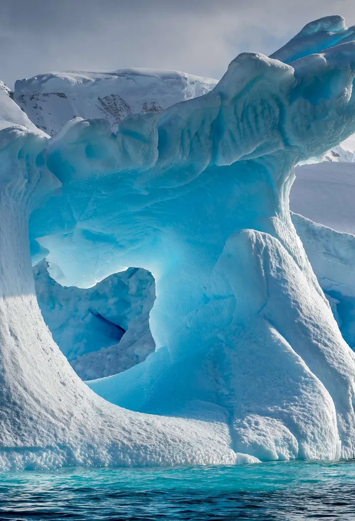 Seal on Ice