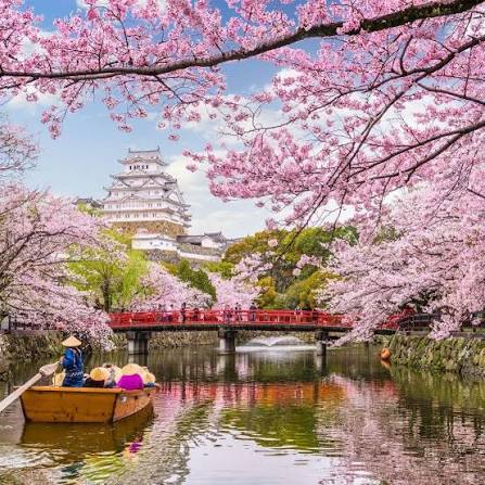 Japan Luxury Experience