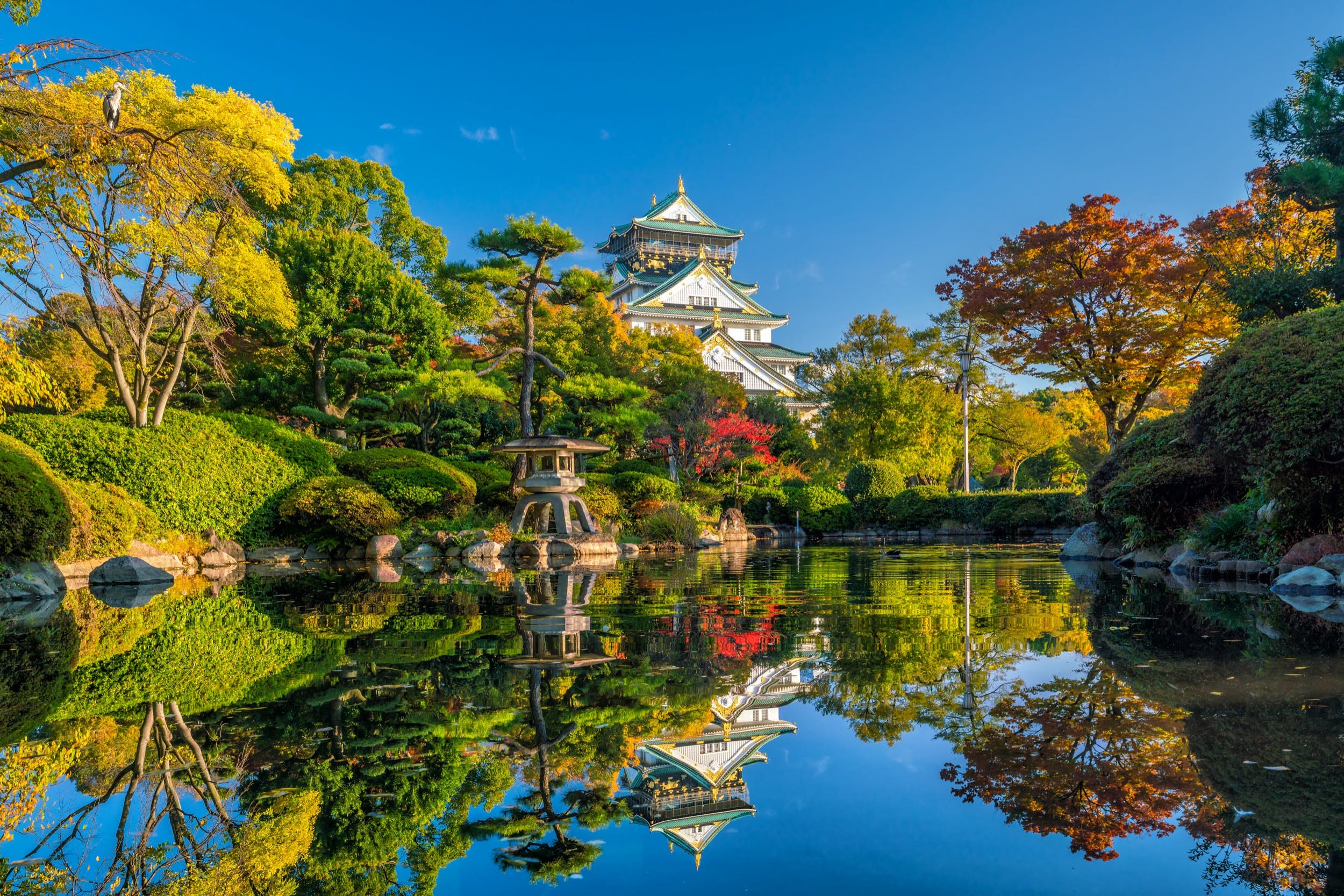 Japan 4 Star 6 Nights 7 Days